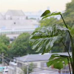準備中 準備中